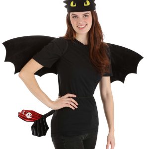 How to Train Your Dragon Toothless Costume Kit