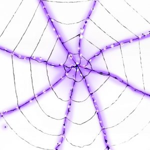 Purple Light-Up Spider Web Decoration