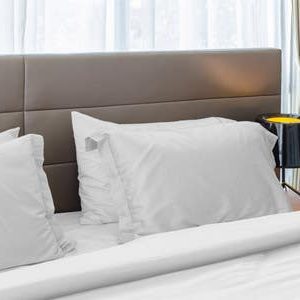 Organic Cotton Sheets & Pillow Set - White - Queen