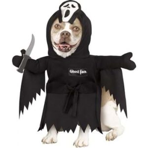 Ghost Face Pet Costume