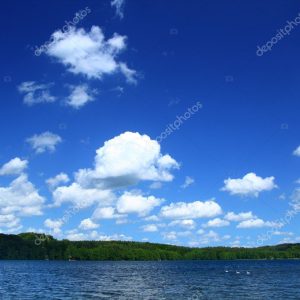 Lakeside with tree line