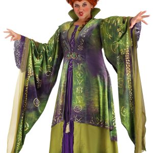 Plus Size Hocus Pocus Winifred Sanderson Women's Costume