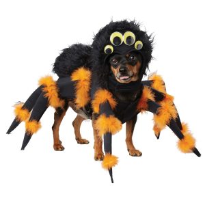Spider Pup Costume