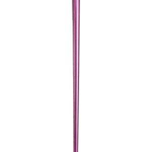Disney Dr. Facilier Cane Costume Accessory