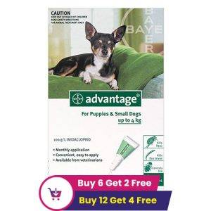 Advantage Small Dogs/ Pups 1-10lbs (Green) 4 Doses