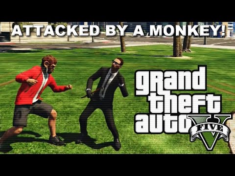 GTA 5 Online: ATTACKED BY A MONKEY! (Funny Moments & Fails) – YouTube