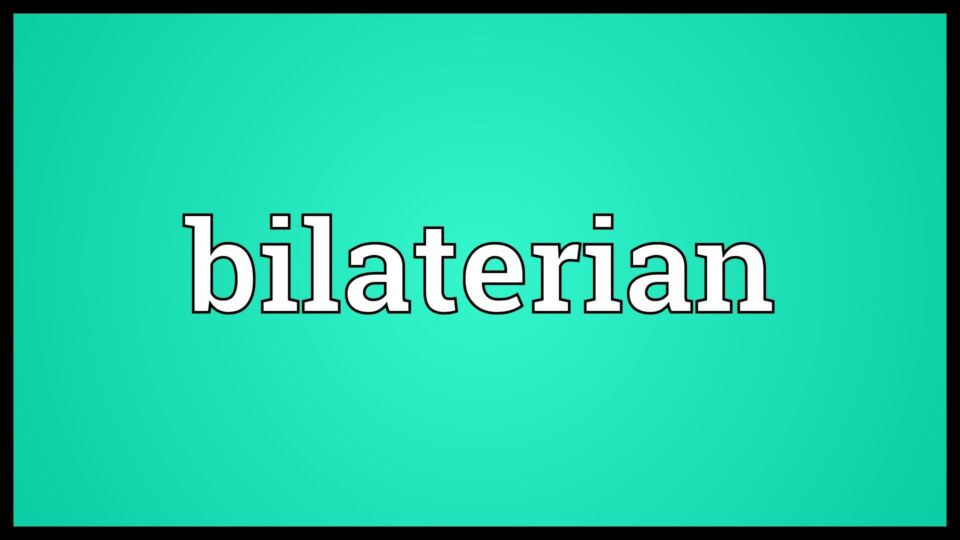 Bilaterian Meaning – YouTube