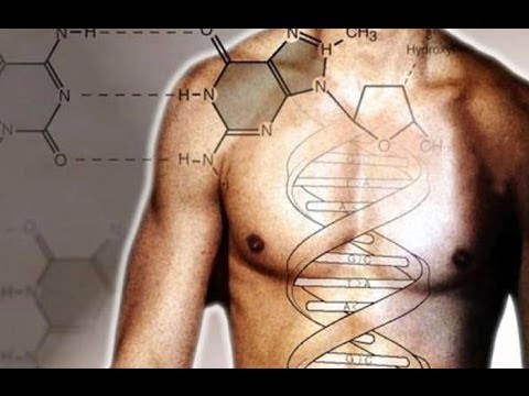 Transhumanism is the New Collectivism – YouTube