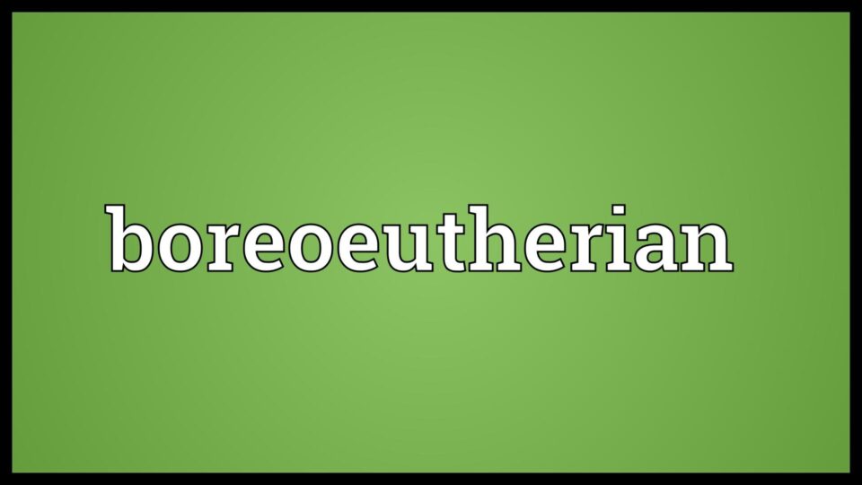 Boreoeutheria – Wikipedia, the free encyclopedia