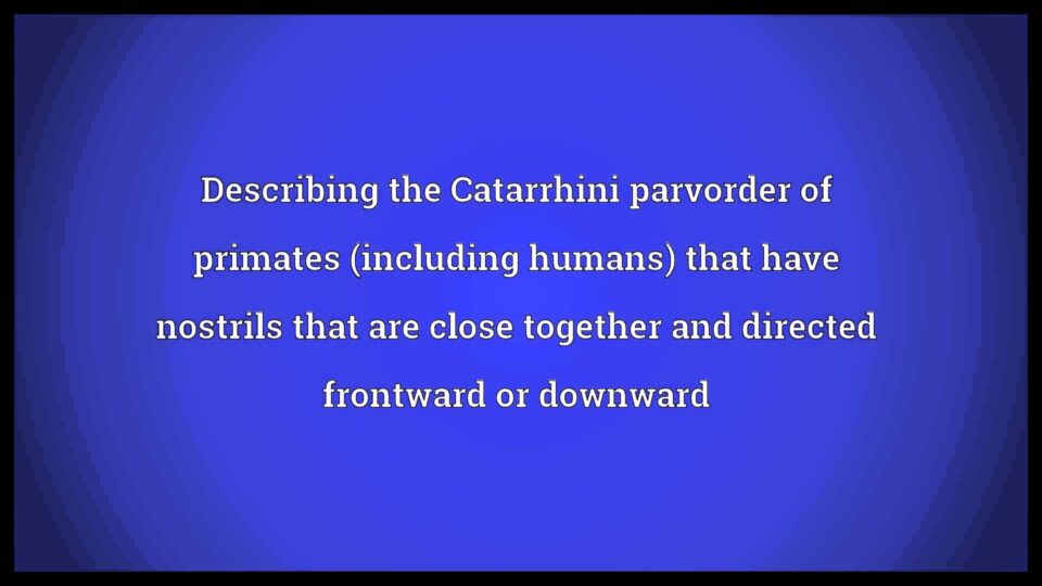 Catarrhine Meaning – YouTube