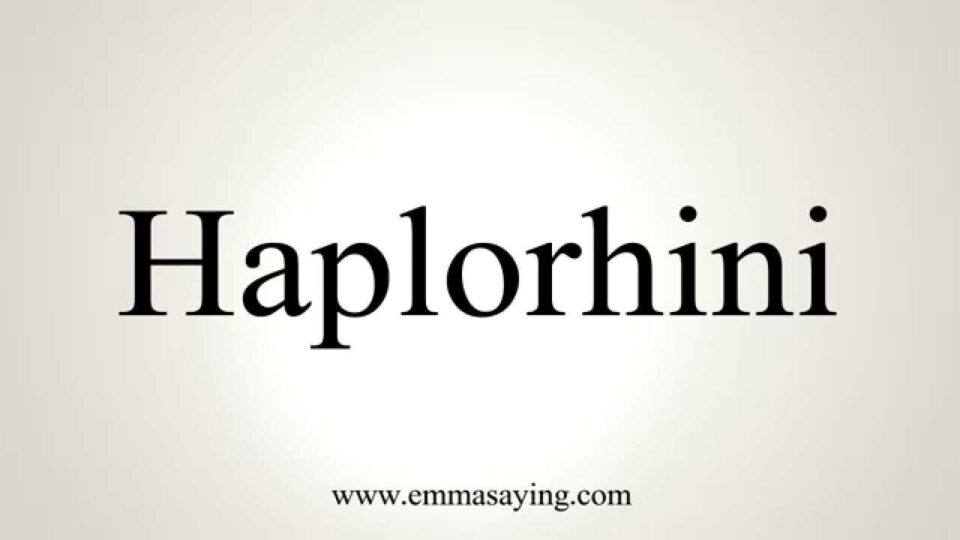 How to Pronounce Haplorhini – YouTube