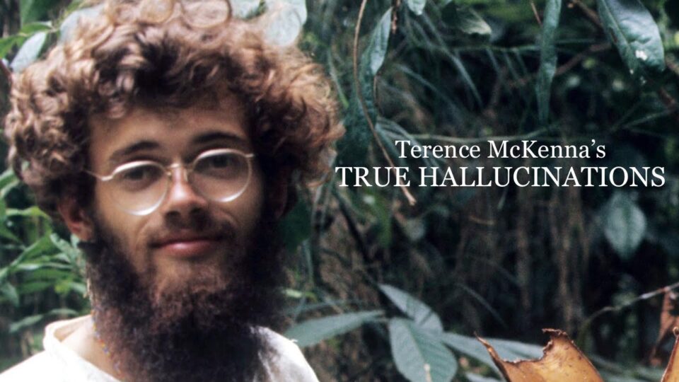 (74) Terence McKenna’s True Hallucinations (Full Movie) HD – YouTube