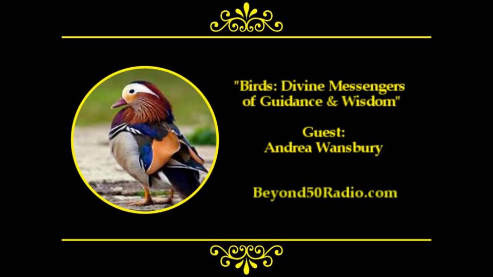 Birds: Divine Messengers of Guidance and Wisdom – YouTube