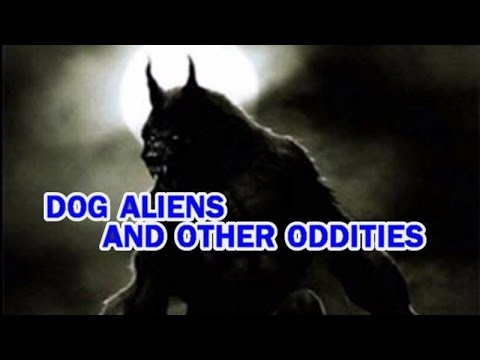 Dog Aliens and Other Oddities – YouTube