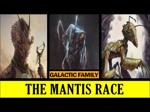 🐜 The Mantis and Insectoid Aliens – Love, Harmony, Duality, UFO Abductions, Hybrid Program – YouTube