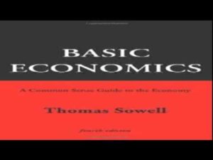 thomas sowell basic economics deutsch