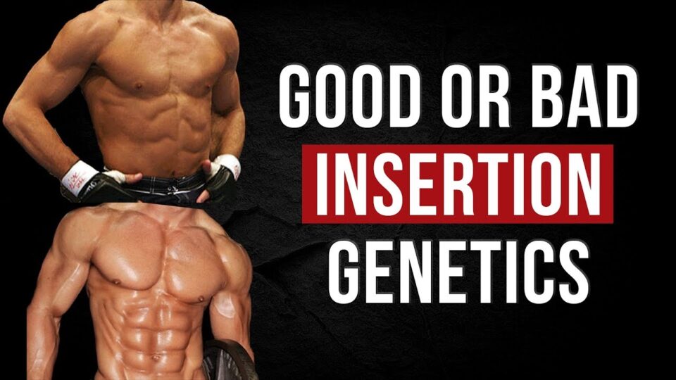 How Good are your MUSCLE INSERTIONS | Vitruvian Model of Genetics