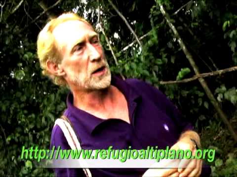 Best Ayahuasca explanation. R.I.P. Scott Petersen