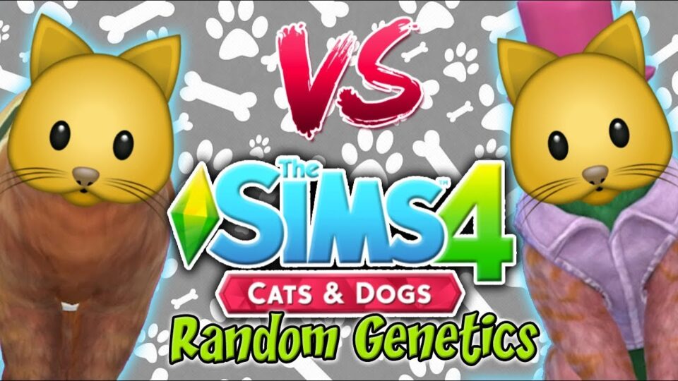 The Sims 4: Random Genetics CAT Challenge VS Yammy