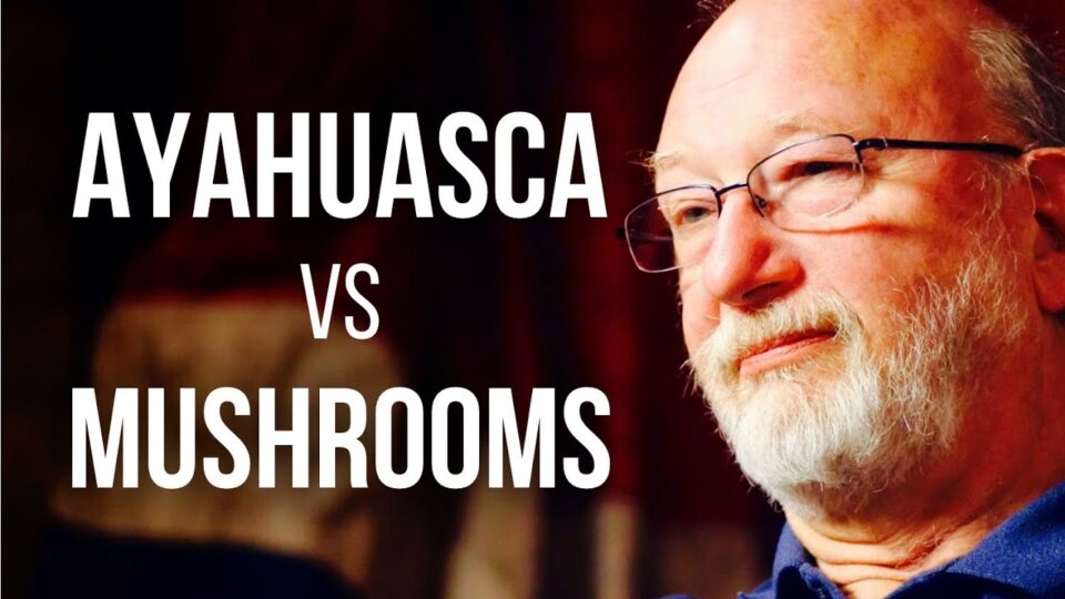 AYAHUASCA vs MUSHROOMS – Dennis McKenna on DMT & Psilocybin