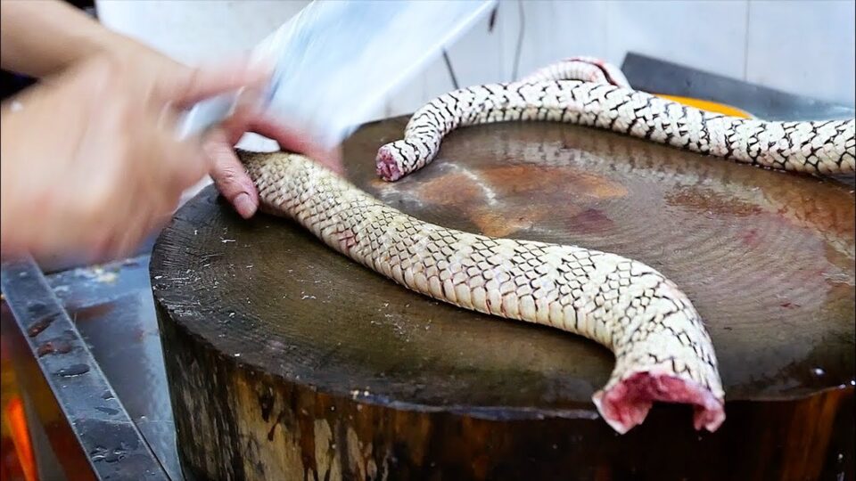 Chinese Street Food – GIANT SNAKE SOUP Guangdong China