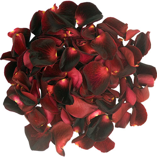 1 Box of Black Baccara Rose Petals