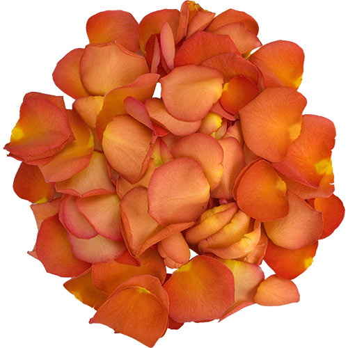 1 Box of Peach Rose Petals