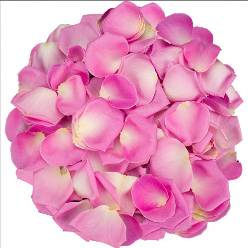 1 Box of Pink Rose Petals
