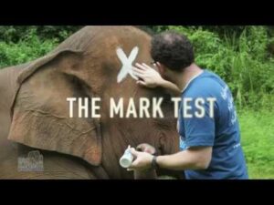 Introduction to “The Problem” – Foster Gamble