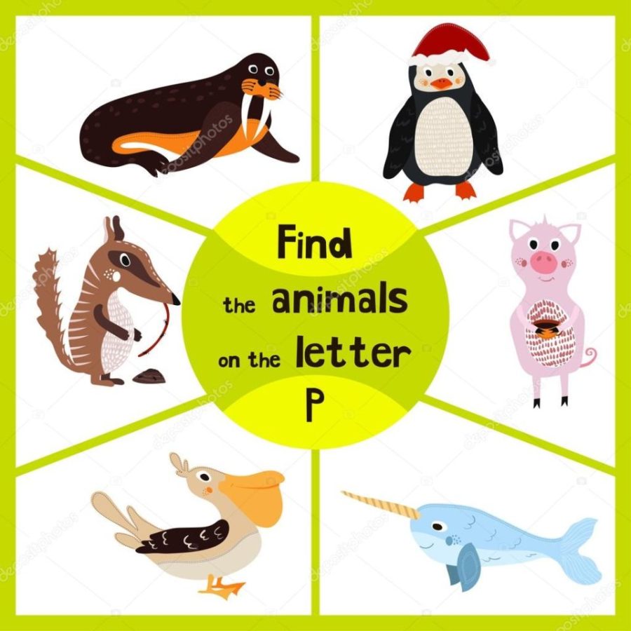 Funny learning maze game, find all 3 cute wild animals with the letter P, Arctic penguin, sea bird Pelican and domestic pigs. Educational page for children. Vector