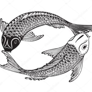 Hand drawn vector illustration of two Koi fishes (Japanese carp)