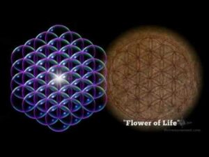 Can You Upload Your Mind & Live Forever?