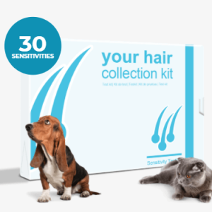 Pet Test