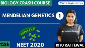 False Advertising – Scott The Woz