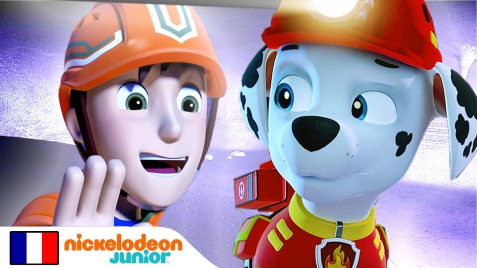 Paw Patrol | Risky intervention in a cave! | Nick Jr.