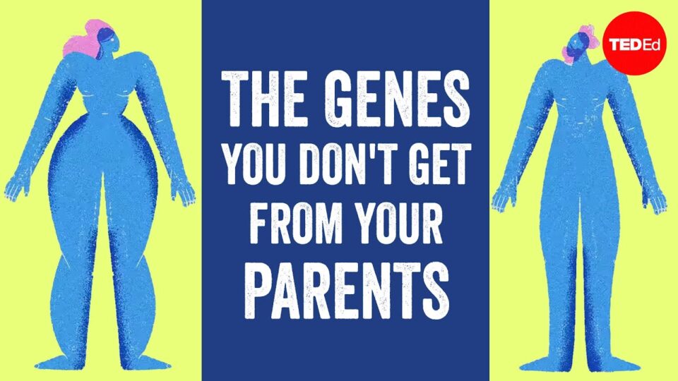The genes you don’t get from your parents (but can’t live without) – Devin Shuman