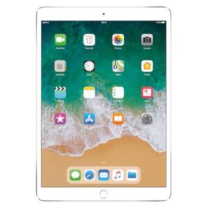 Apple iPad Pro 12.9" Wi-Fi + 4G 256GB Silver Unlocked