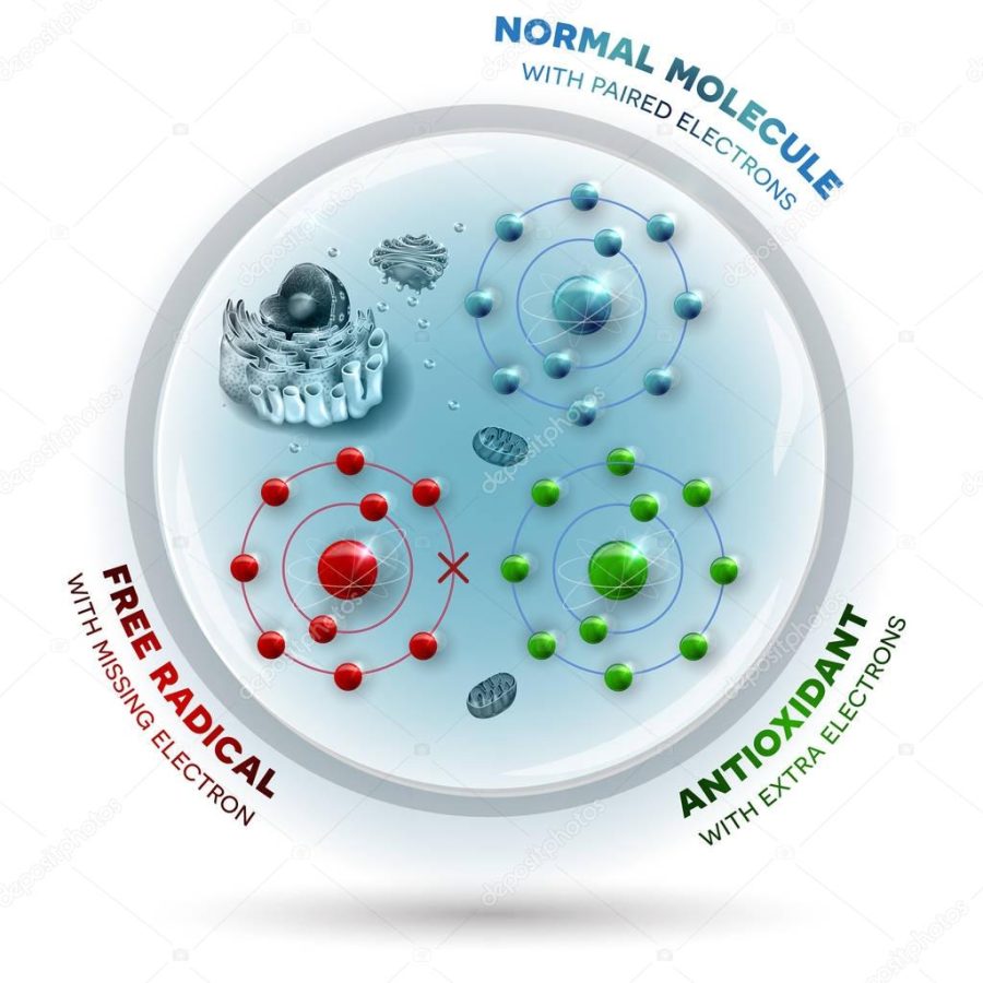 Human cell and free radical, andtioxidant and normal molecules
