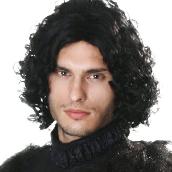 Men's Dark Northern King Wig