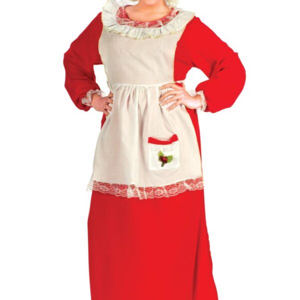 Plus Size Women's Mrs. Claus Costume