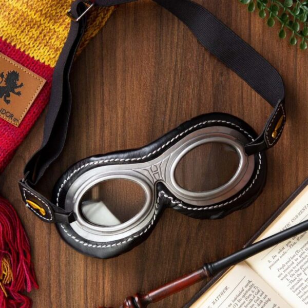 Wizard Quidditch Goggles