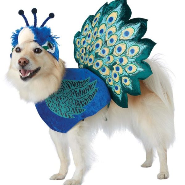 Pretty as a Peacock Pet Costume