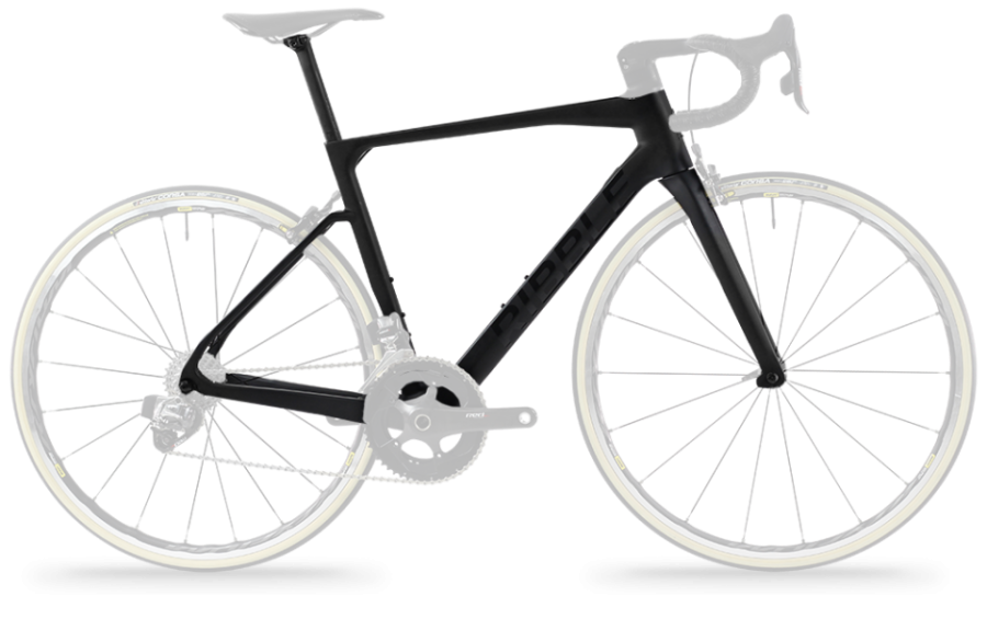 Ribble Endurance SL R Frameset