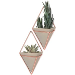 Umbra Trigg Wall Vessel - Copper (Set of 2)