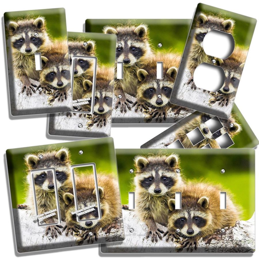 CUTE LITTLE RACCOONS LIGHT SWITCH OUTLET WALL PLATE COVER BEDROOM ROOM HD DECOR