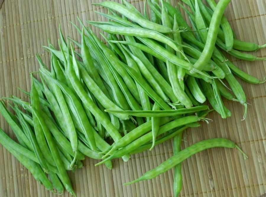 Heirloom Cluster Bean Vegetable seeds- Summer season Indian vegetables-100 Seeds