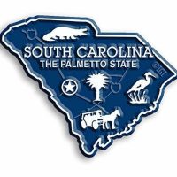 South Carolina Small State Magnet by Classic Magnets, 2.3" x 1.9", Collectible S
