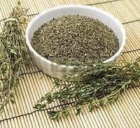Thyme Herb Seed, Organic, NON-GMO, 20+ seeds,One of the most useful herbs.
