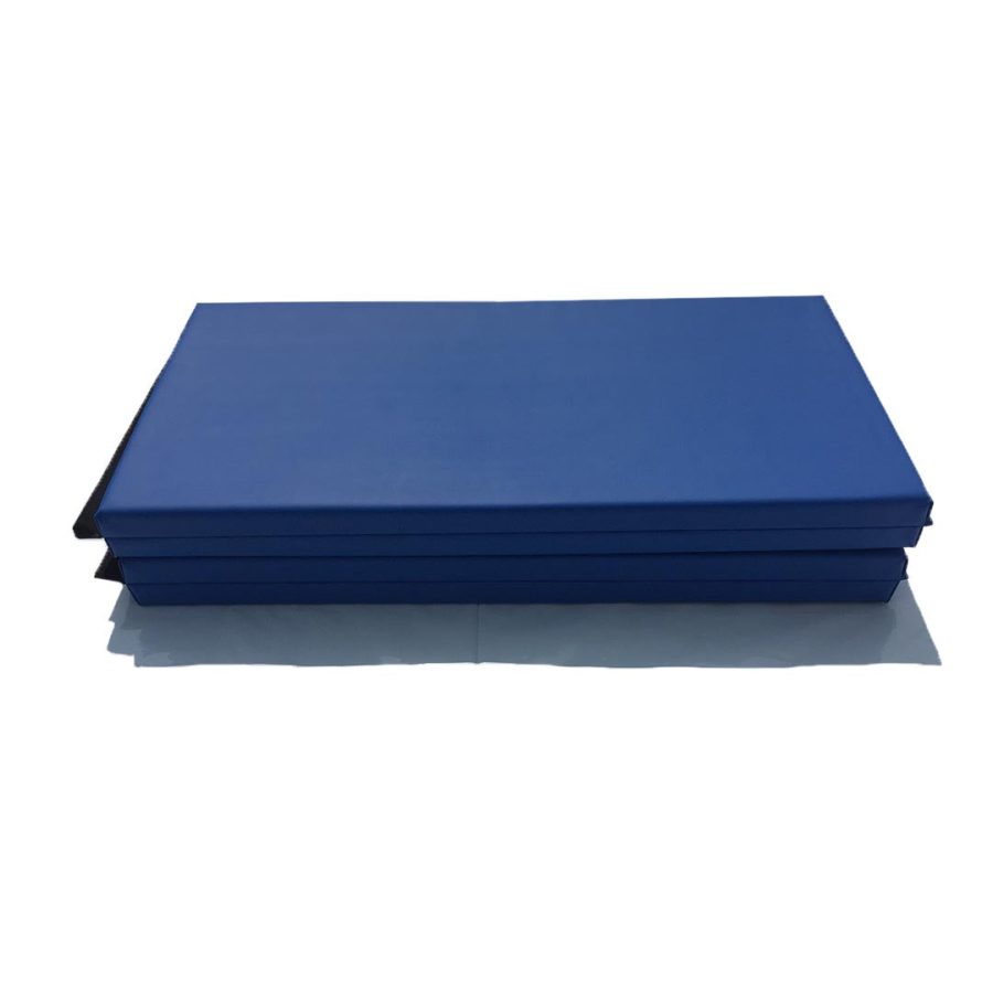 Blue Gym mats