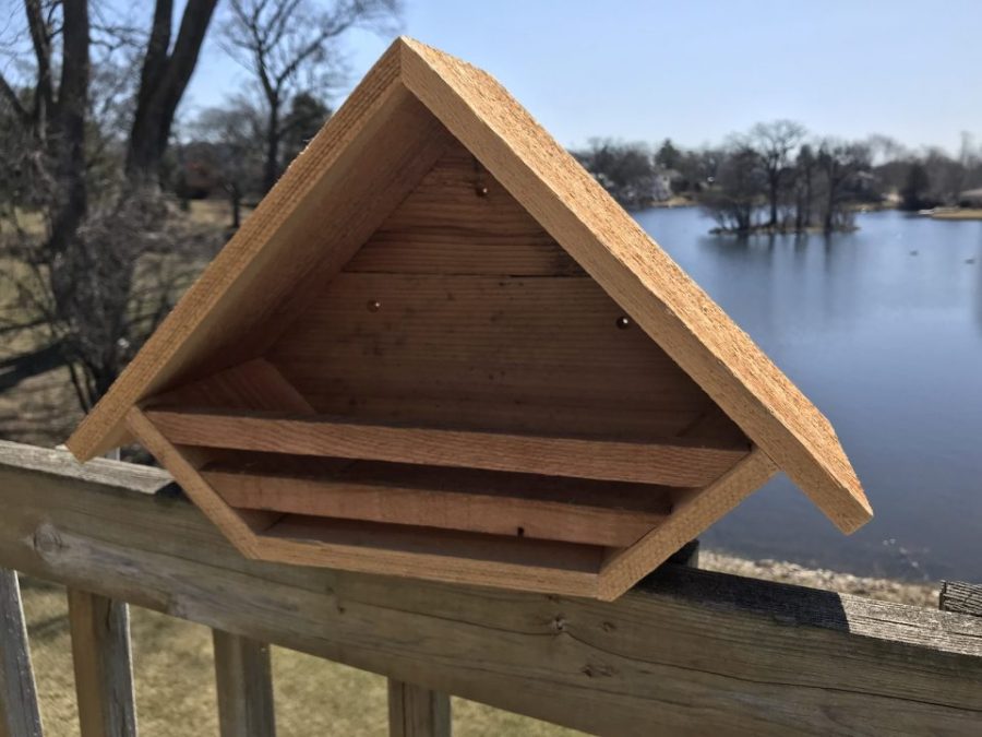 Dove Robin Nesting Box Nest Platform Shelter Bird House Birdhouse Solid Cedar!